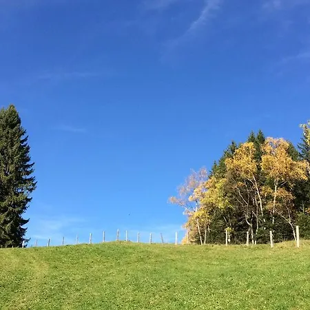 Pensjonat Gaestehaus Regina Uderns