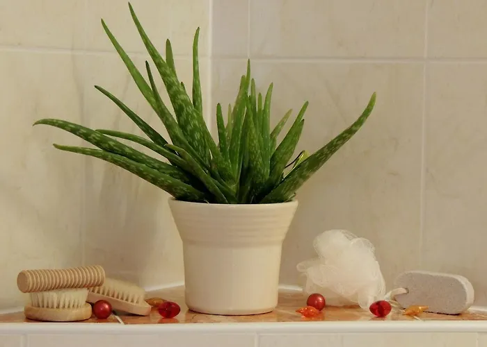 بيت ضيافة Gaestehaus Regina