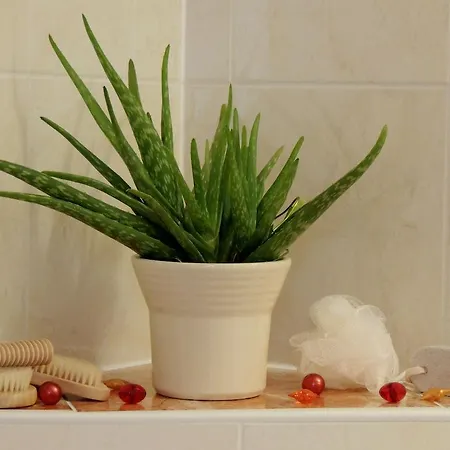 Affittacamere Gaestehaus Regina