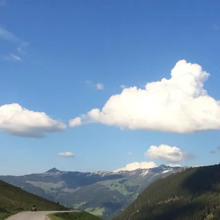 Affittacamere Gaestehaus Regina 3*