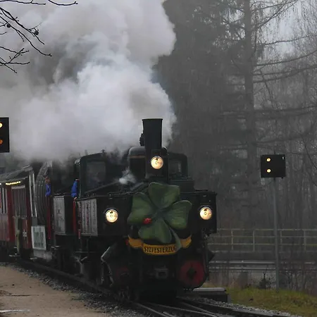 Gaestehaus Regina 招待所 3*